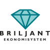 Briljant Lön – Recension 2025