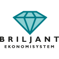Briljant Lön – Recension 2025